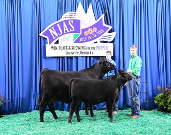 Bred-and-owned Cow-calf Class 2