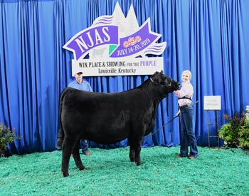 Owend Heifer Class 63