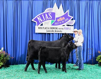 Owned Cow-calf Class 3