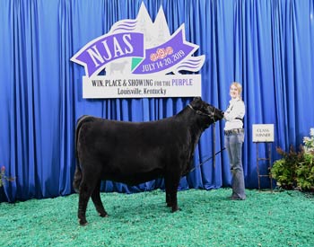Owned Heifer Class 62