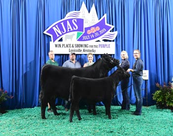 Owned Cow-calf Class 1