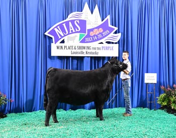Bred-and-Owned Heifer Class 27