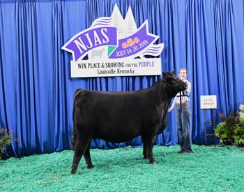 Owned Heifer Class 61