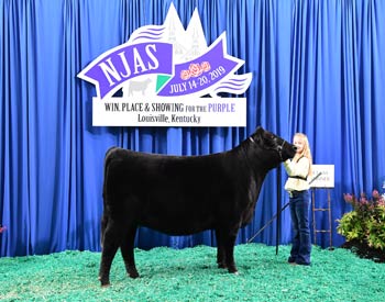 Bred-and-owned Heifer Class 25