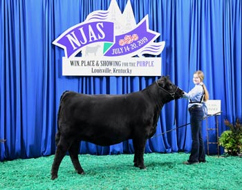 Owned Heifer Class 60
