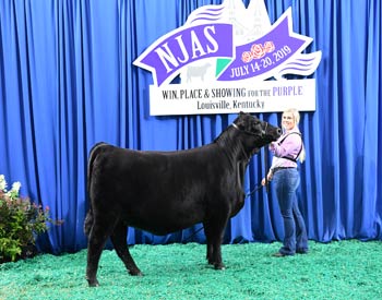 Owned Heifer Class 47