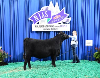 Bred-and-owned Heifer Class 24