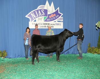 Owned Heifer Class 33