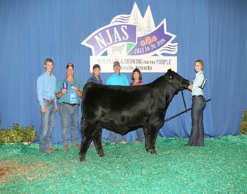Steer Class 6