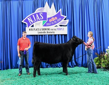 Owned Heifer Class 31