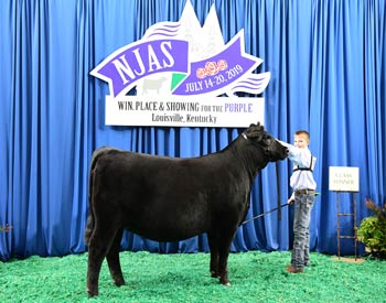 Owned Heifer Class 41