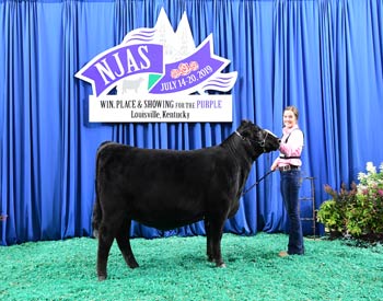 Owned Heifer Class 29