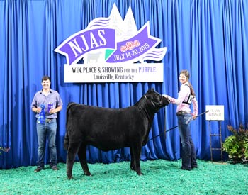 Owned Heifer Class 19