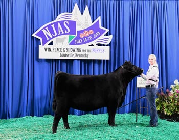 Bred-and-owned Heifer Class 16