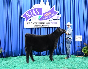 Owned Heifer Class 40