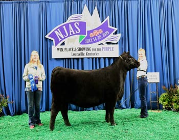 Owned Heifer Class 42