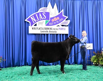 Owned Heifer Class 39