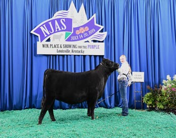 Owned Heifer Class 24