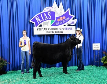 Bred-and-owned Heifer Class 13