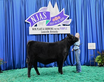 Owned Heifer Class 36
