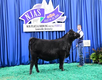 Owned Heifer Class 53