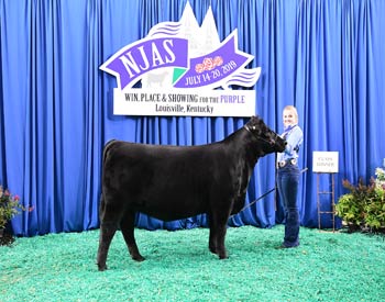 Owned Heifer Class 25