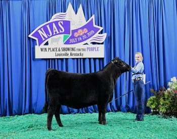 Owned Heifer Class 32