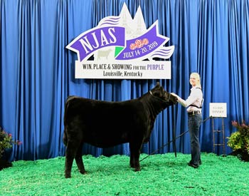 Bred-and-owned Heifer Class 12