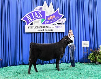 Owned Heifer Class 1