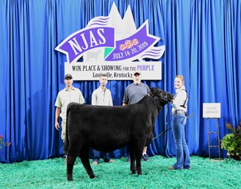 Owned Heifer Class 10