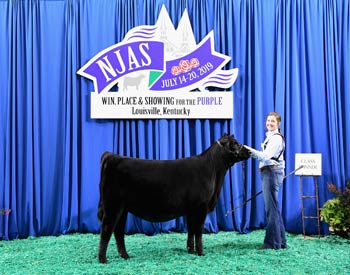 Owned Heifer Class 3