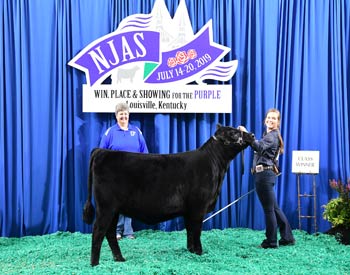 Bred-and-owned Heifer Class 7