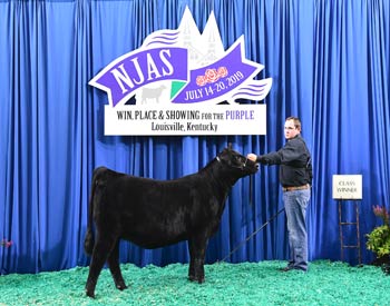 Bred-and-owned Heifer Class 6