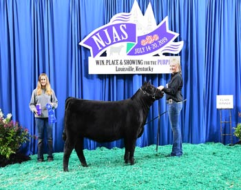 Bred-and-owned Heifer Class 9