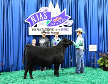 Bred-and-owned Heifer Class 3
