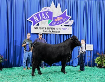 Bred-and-owned Bull Class 5