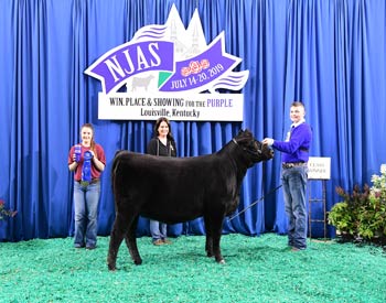 Owned Heifer Class 16
