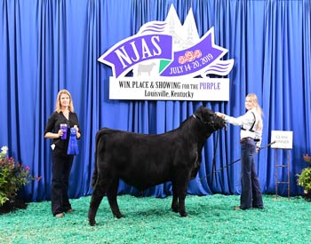 Bred-and-owned Bull Class 1