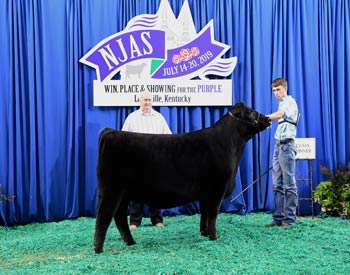 Owned Heifer Class 55