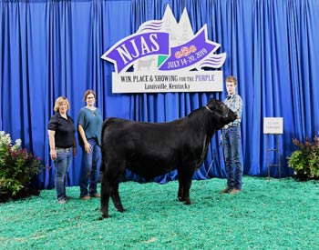 Bred-and-owned Bull Class 4