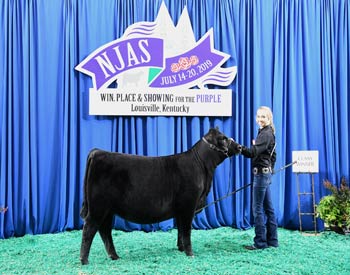 Owned Heifer Class 12