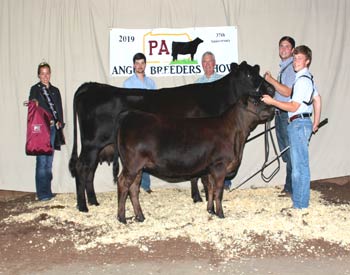 Reserve Grand Champion Cow-calf Pair