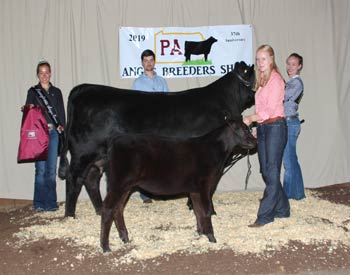 Grand Champion Cow-calf Pair