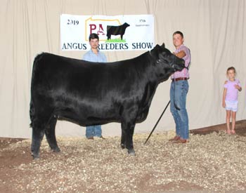 Owned Senior Champion Female