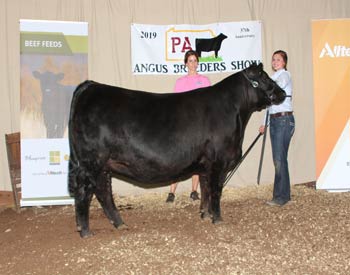 Owned Reserve Senior Champion Female