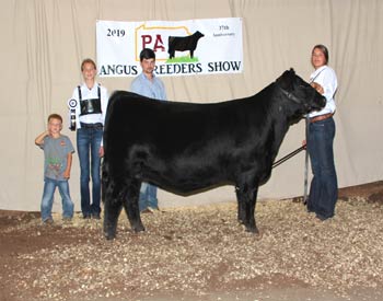 Owned Reserve Junior Champion Heifer