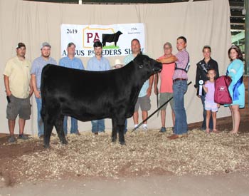 Grand Champion Owned Female