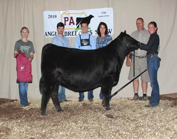 Grand Champion Bred-and-owned Female