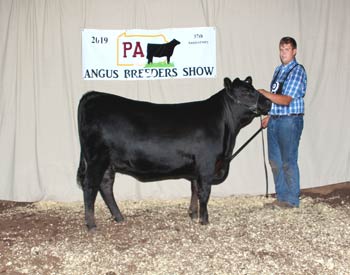 Bred-and-owned Reserve Intermediate Champion Heifer