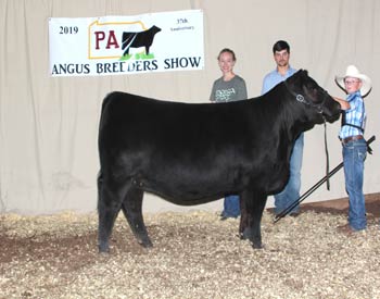 Reserve Grand Champion Bred-and-owned Female